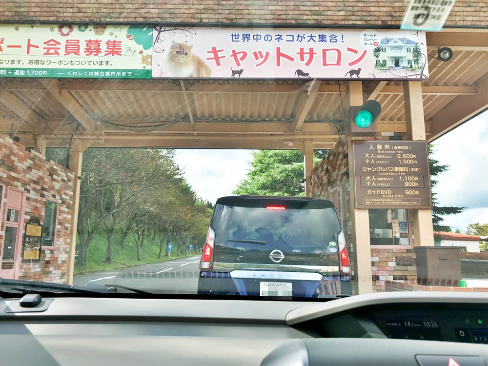 ｜日本九州8天7夜自駕親子遊｜九州自然動物園♥自駕參觀動物園/Jungle bus叢林巴士/餵食獅子超刺激