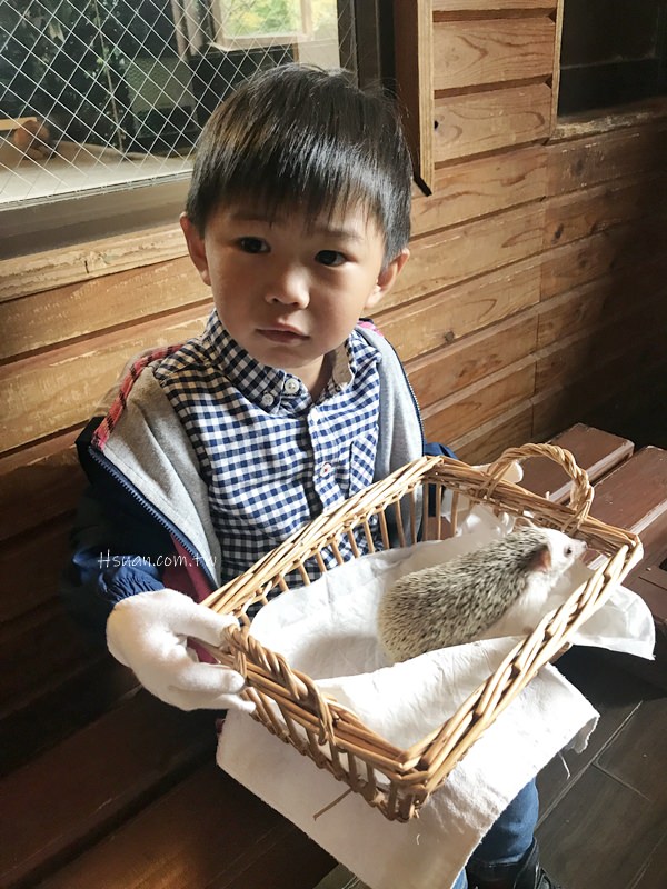 ｜日本九州8天7夜自駕親子遊｜九州自然動物園♥自駕參觀動物園/Jungle bus叢林巴士/餵食獅子超刺激