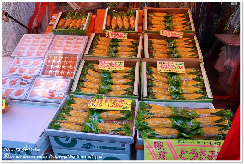 【白色聖誕節之北海道】函館朝市♥活跳跳烏賊好新鮮