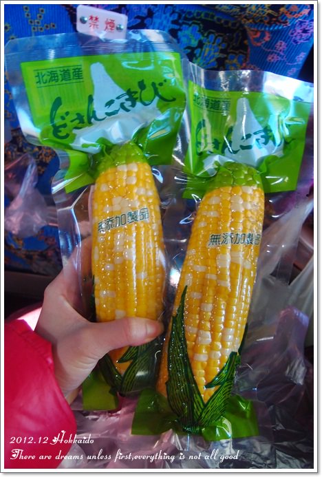 【白色聖誕節之北海道】函館朝市♥活跳跳烏賊好新鮮