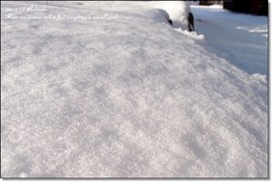 北海道遊記大總匯♥【點小圖進入文章】5天4夜更新完畢~遊記都生出來啦!!>////<