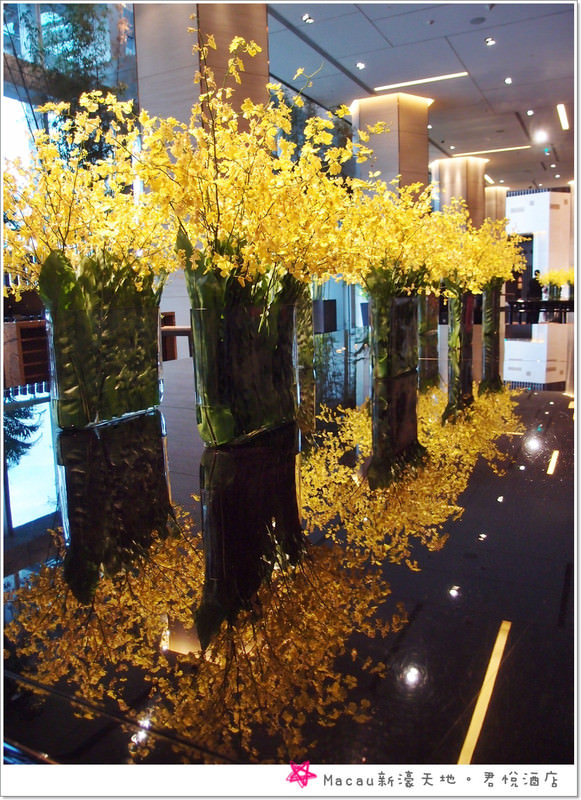 【2011澳門3天2夜】澳門新濠天地 君悅酒店 GRAND HYATT MACAU - 第3張圖 【2011澳門3天2夜】澳門新濠天地 君悅酒店 GRAND HYATT MACAU