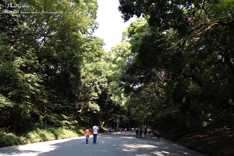 249.JPG 249.JPG