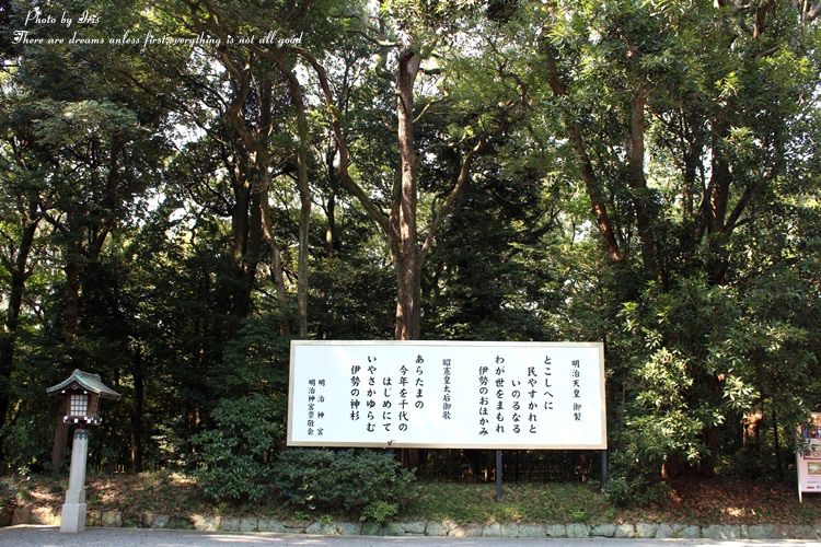 255.JPG 255.JPG