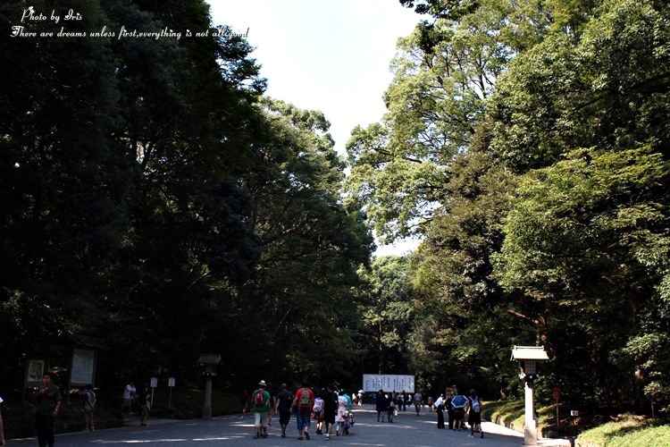 254.JPG 254.JPG