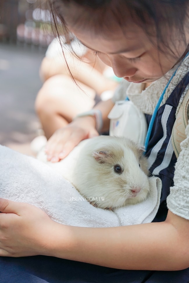 ｜日本九州8天7夜自駕親子遊｜九州自然動物園♥自駕參觀動物園/Jungle bus叢林巴士/餵食獅子超刺激