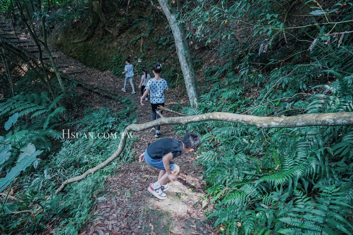 新竹橫山景點｜大山北月♥廢棄國小改造成人文生態館/森林步道/森林景觀餐廳/新竹親子景點
