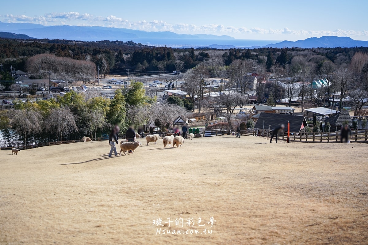 ｜日本河口湖親子景點｜馬飼野牧場♥欣賞富士山的絕佳景點/河口湖自由行/天空盪鞦韆/兒童遊戲場