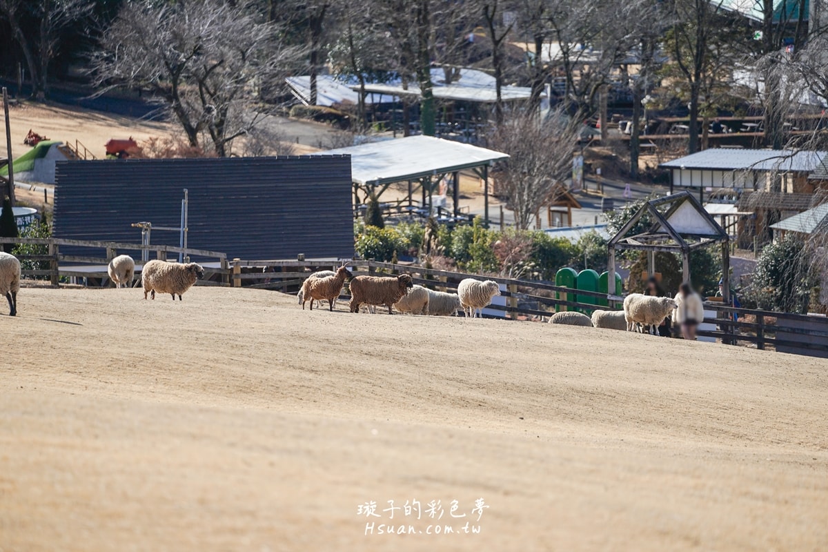 ｜日本河口湖親子景點｜馬飼野牧場♥欣賞富士山的絕佳景點/河口湖自由行/天空盪鞦韆/兒童遊戲場