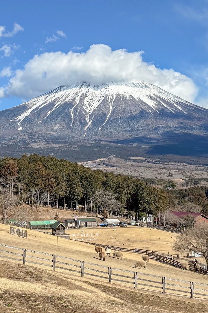 ｜日本河口湖親子景點｜馬飼野牧場♥欣賞富士山的絕佳景點/河口湖自由行/天空盪鞦韆/兒童遊戲場