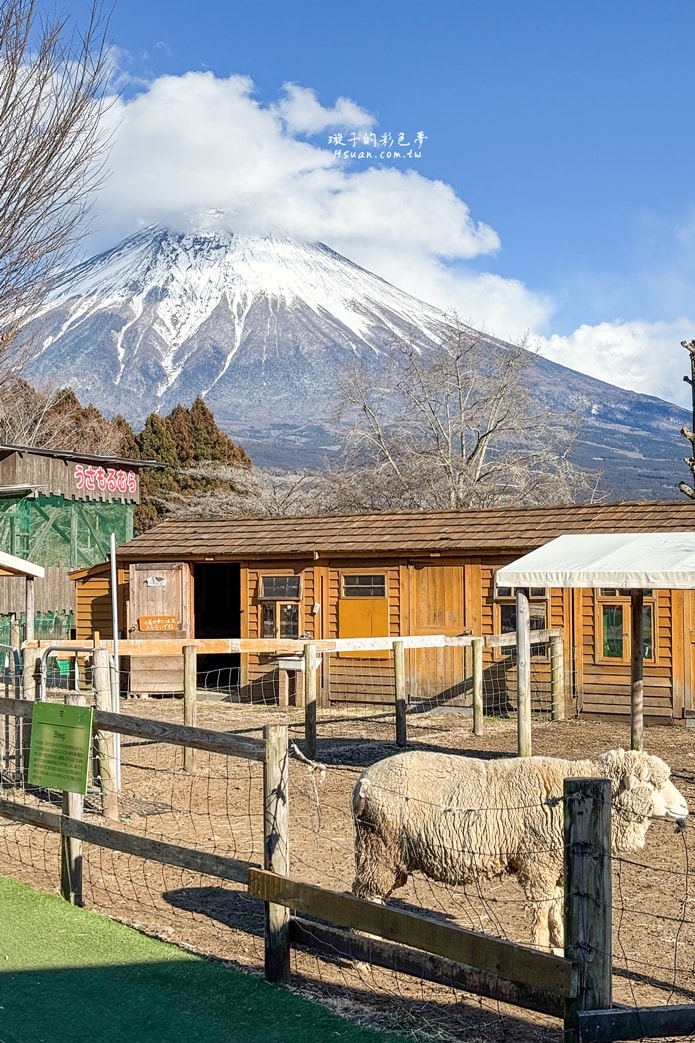 ｜日本河口湖親子景點｜馬飼野牧場♥欣賞富士山的絕佳景點/河口湖自由行/天空盪鞦韆/兒童遊戲場